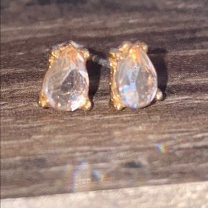 Real Pear Tear Drop Earrings 18K Unisex